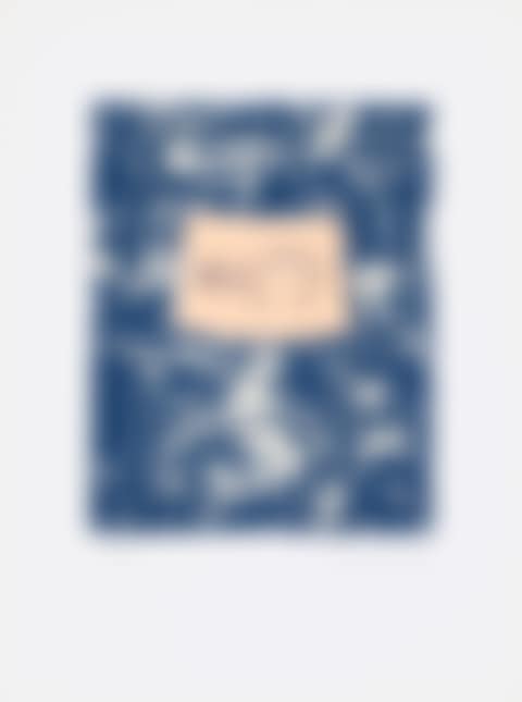 Untitled, from Harvey Gantt Portfolio (ULAE 252, Gemini 1456) (preview)