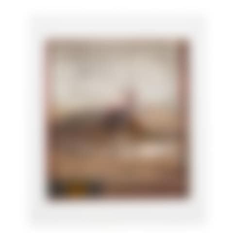 Yucatan III (preview)