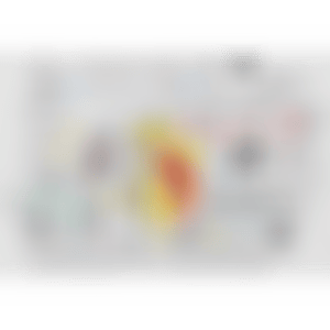 Boxer Rebellion (preview)