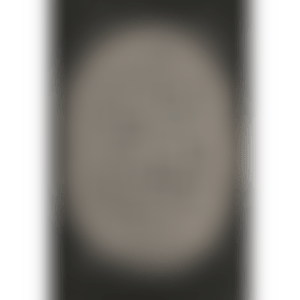 Visionary Light (Kusama 222) (preview)