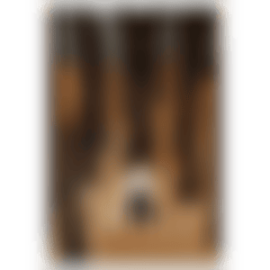 Forest (preview)