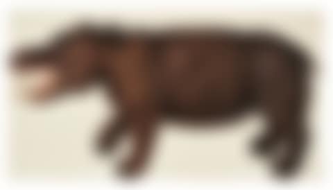 A hippopotamus (preview)