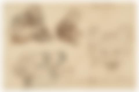 Studies of bears and cubs (preview)