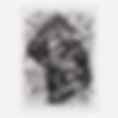 Untitled (SF-261 (preview)