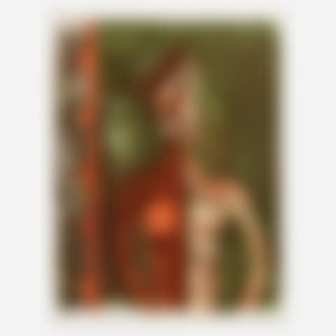 Torso de joven (from the Mujeres portfolio) (preview)
