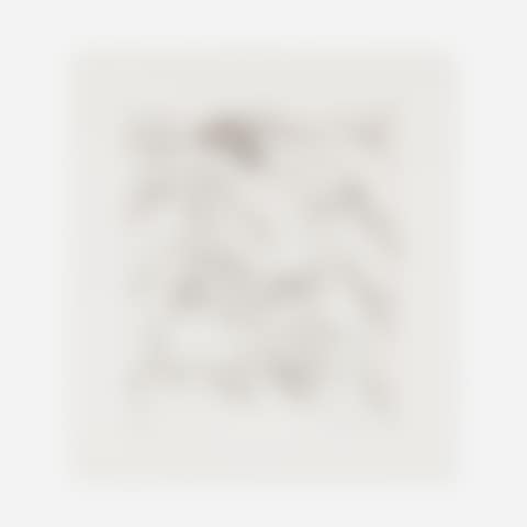 Untitled (from The Valley series) (preview)