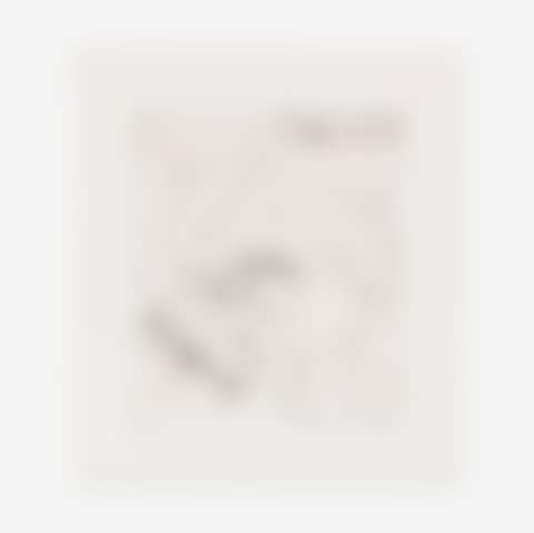 Untitled IX (from The Valley series) (preview)