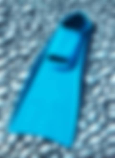 Blue Flipper (preview)