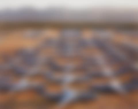 AMARC #5, Davis Monthan AFB, Tucson, Arizona (preview)