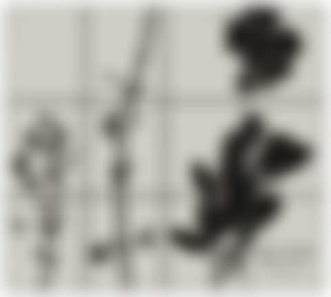 Four Plants (preview)