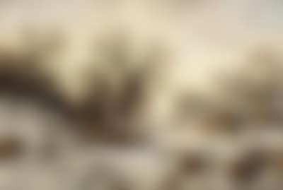 A winter landscape (preview)