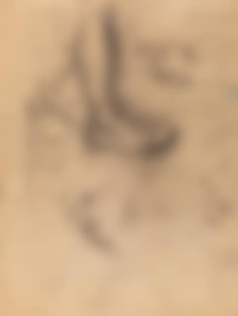 Anatomic Studies (preview)