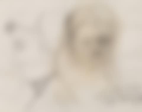 Study of Two Heads (preview)
