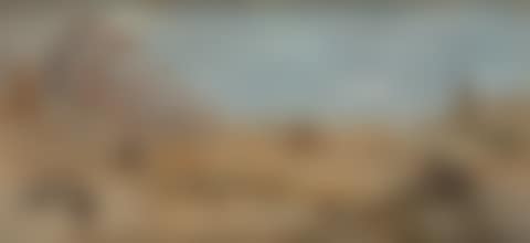 Desert Landscape (preview)