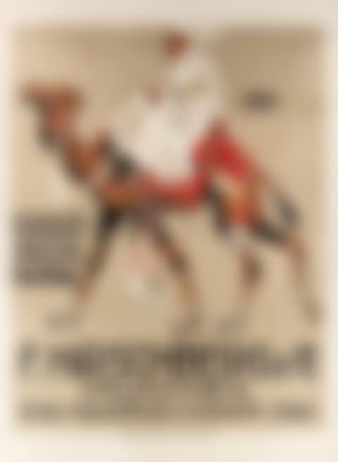 AN ADVERTISEMENT POSTER (preview)