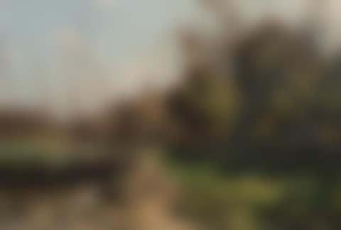 Sunlit Landscape (preview)
