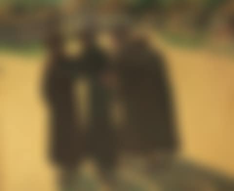 Late Afternoon Stroll (preview)