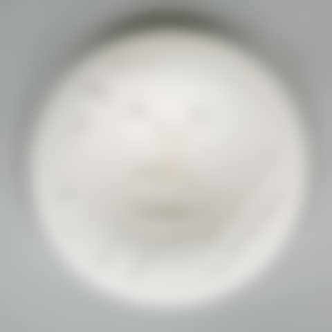 Face of Face (preview)