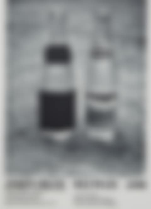 First Exhibition in the United States, Harcus Krakow Gallery (preview)