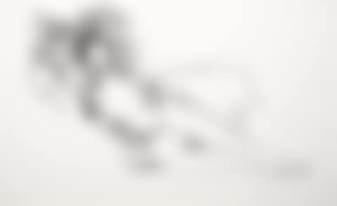 Monica Nude with Matisse
Monica Nude with Matisse (preview)
