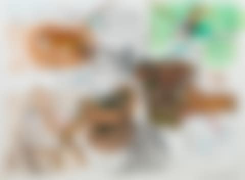 Bronx Zoo (preview)