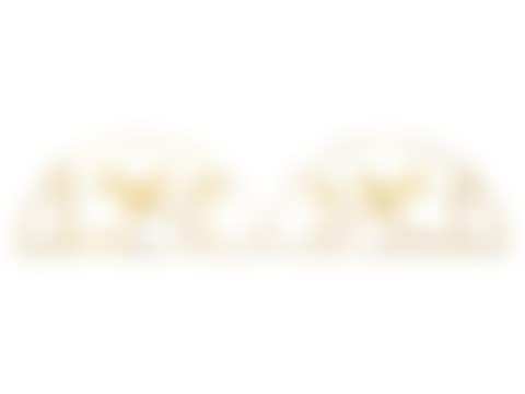A Pair of Gilded Wrought Iron Demilune Transom Decorations (preview)