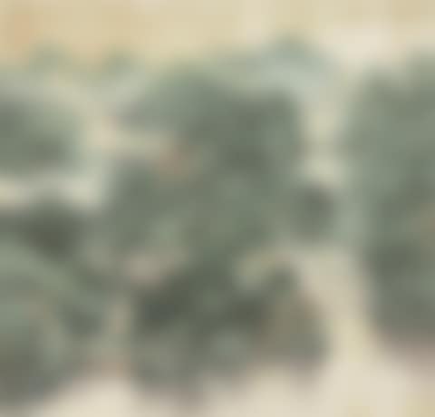 Misty Landscape (preview)