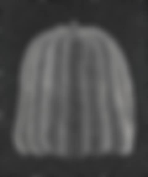 Pumpkin (White T) (preview)