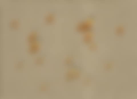 Waterdrops (preview)