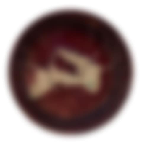 Charger (preview)