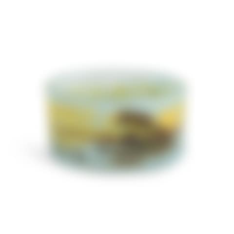 Bowl (preview)