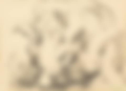 Minotaure et nue (preview)