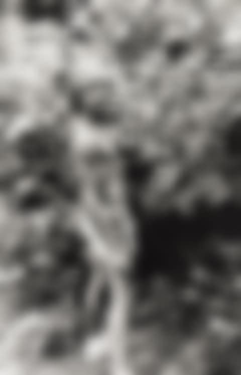 Untitled (man urinating in bush). (preview)