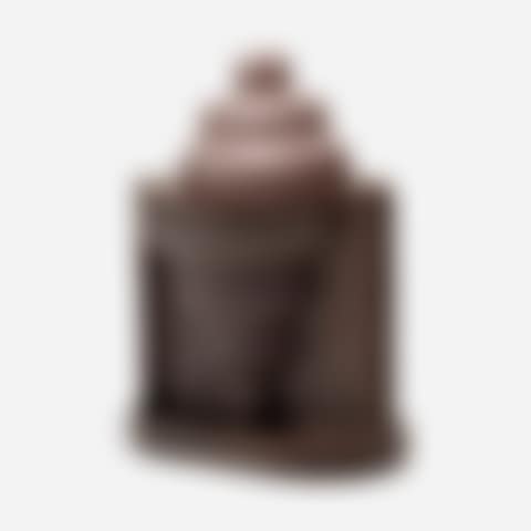 Cardamon teapot (from the Indian Memory series) (preview)
