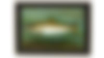 "Brown Trout Caught by Martin Snell" (preview)