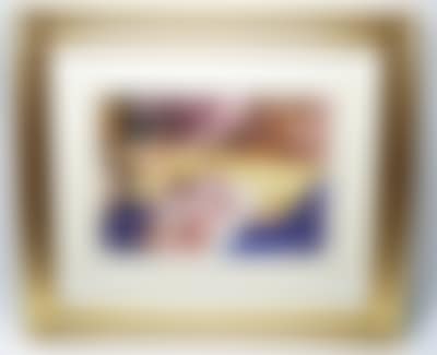 Olearia (preview)