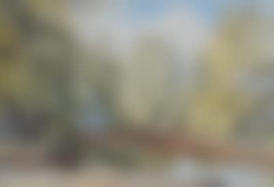 Quiet river (preview)