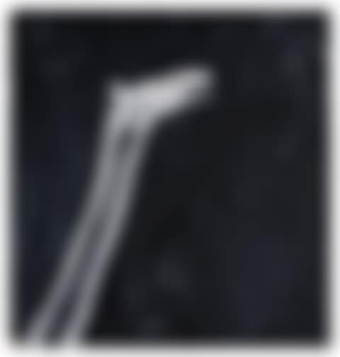 Double Bones (preview)