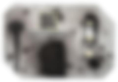 Compass (preview)