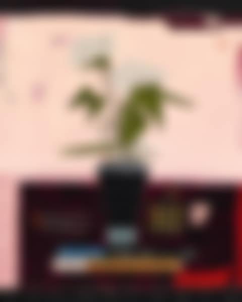 Still Life; Still Life (preview)