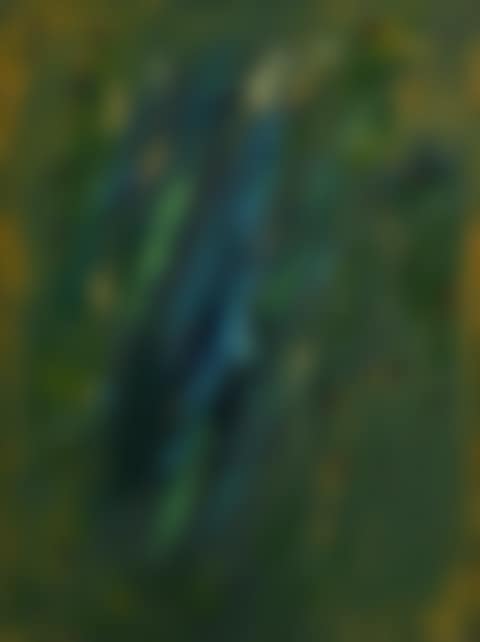 Trapped Water (preview)