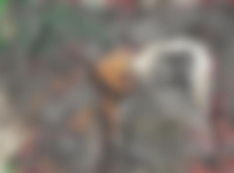 Horse (preview)