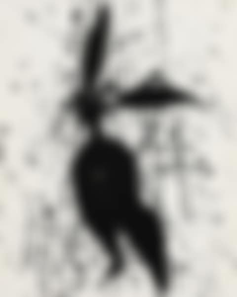 Female (preview)