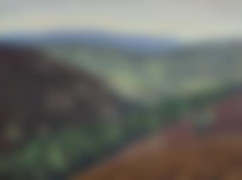 Wicklow Vale (preview)