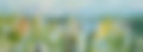 Summer Flowers on the Dunes (preview)