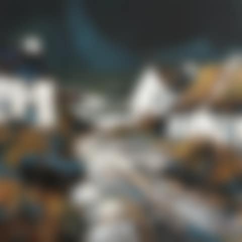 The Woman, The Homes and the Constant Sea (preview)