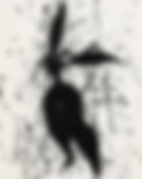 Female (preview)