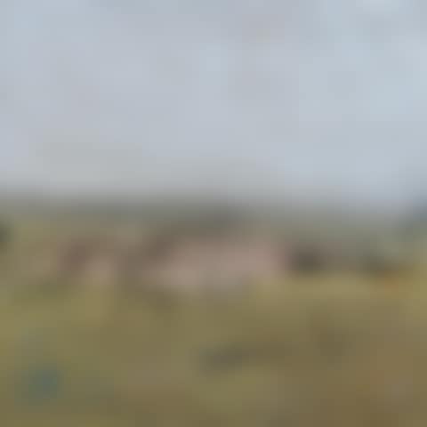 The Pasture (preview)