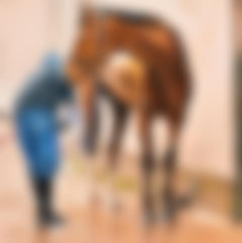 Wash Down (preview)