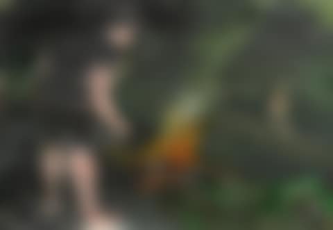 Camp Fire (preview)
